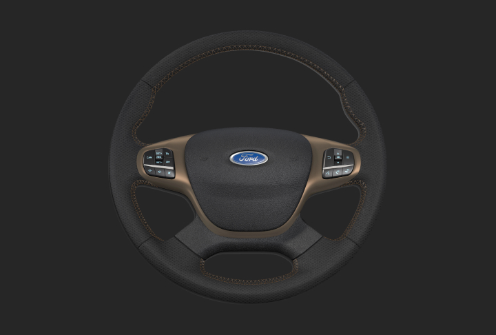 Steering Wheel with  Bronze Details